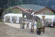 ref. photo 3256242