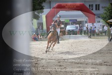 ref. photo 3256305