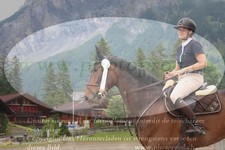 ref. photo 3256533