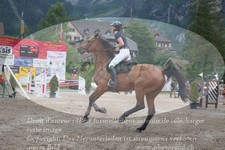 ref. photo 3256542