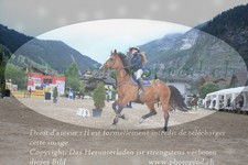ref. photo 3256813