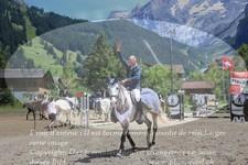 ref. photo 3256867