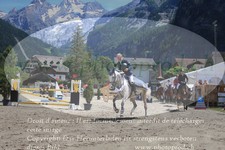 ref. photo 3256923