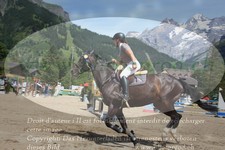 ref. photo 3257006