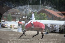 ref. photo 3257064