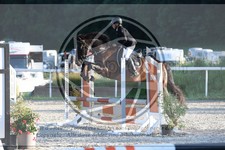ref. photo 3684120