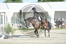 ref. photo 3684124