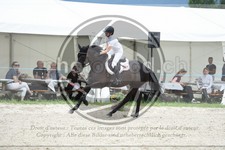 ref. photo 3684135