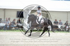 ref. photo 3684136