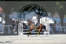 ref. photo 3684193