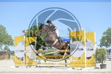 ref. photo 3684246