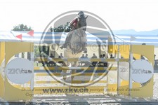 ref. photo 3684264