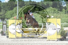 ref. photo 3684311