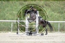 ref. photo 3684345