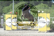 ref. photo 3684431