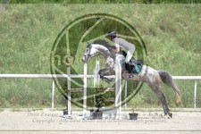 ref. photo 3684603