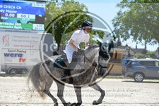 ref. photo 3684605