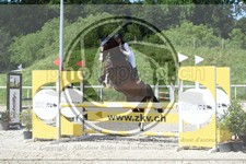 ref. photo 3684748