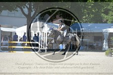 ref. photo 3684811
