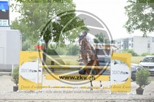 ref. photo 3684874
