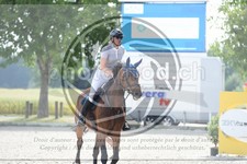 ref. photo 3684892
