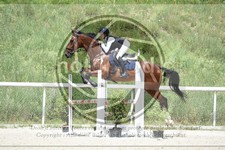 ref. photo 3684972