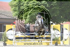 ref. photo 3685012