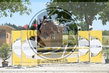 ref. photo 3685048
