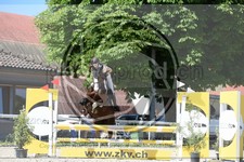 ref. photo 3685072