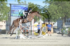 ref. photo 3685079