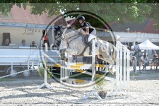 ref. photo 3685112