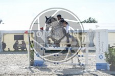 ref. photo 3685113