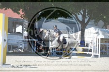 ref. photo 3685149