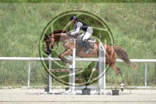 ref. photo 3685182