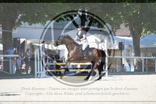 ref. photo 3685193