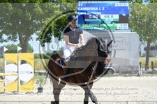 ref. photo 3685215