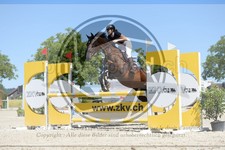 ref. photo 3685216