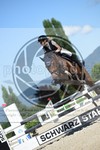 ref. photo 3685308