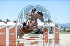 ref. photo 3685331