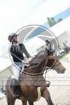 ref. photo 3685366