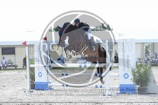 ref. photo 3685386