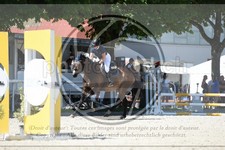 ref. photo 3685539