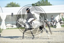 ref. photo 3685600