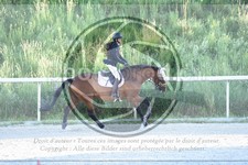 ref. photo 3685644
