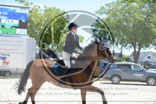 ref. photo 3685683