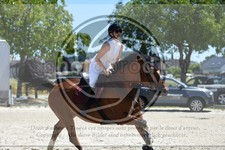 ref. photo 3685805