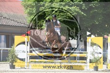 ref. photo 3685872