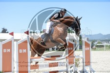 ref. photo 3685874