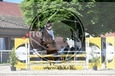 ref. photo 3685928
