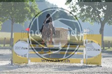 ref. photo 3685978